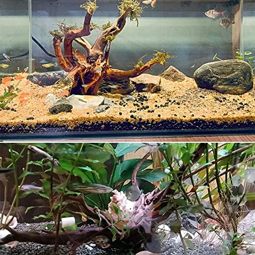 1pc Natural Aquarium Driftwood Ramificações de madeira aquária de madeira de madeira arborizada de madeira de peixe Tanque de peixes