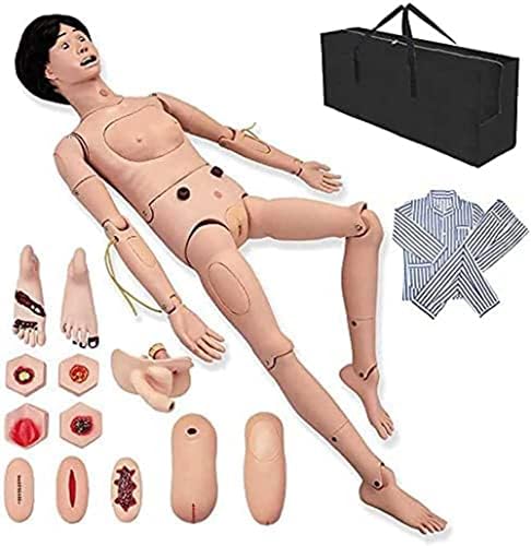 5,7 pés de tamanho de vida atendimento ao paciente manikin com genitália masculina e feminina Módulo e módulo de trauma