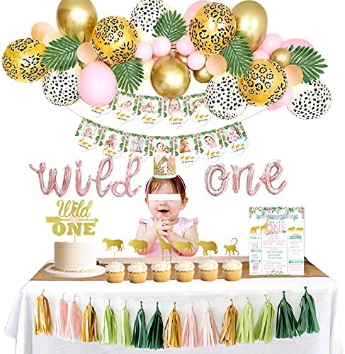 Patyfeir Wild One Birthday Decorações para meninas, decorações de 1º aniversário de menina, decorações de festas de 1º aniversário de