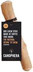 Canophera Coffee Wood Dog Sticks para mastigar regulares - tamanho grande