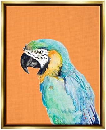 Stuell Industries Tropical Macaw Parrot Retrato Bold Rainforest Bird Bird Flutuante Arte da parede emoldurada, design de Patricia Pinto