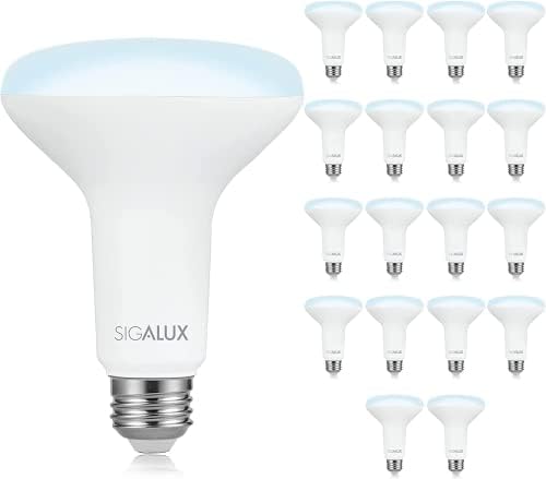 Luzes de inundação de Sigalux LED Indoor, BR30 LED BULBO 65W