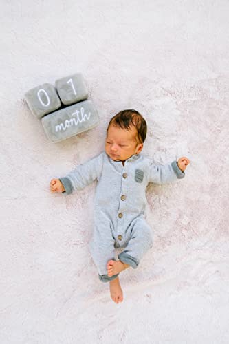 Pearhead Baby Plush Photo Compartilhamento de Milhões Blocos de Idade, Prop Picture, Conjunto de 3 Blocks, Gray