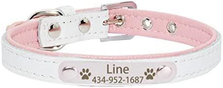 Nome gravado personalizado Tag Tag Pet Dog Collar para pequenos cães médios grandes ID personalizada Placa de cachorro