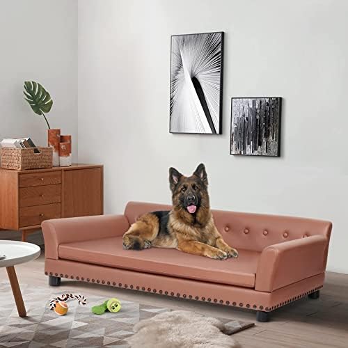 Sofá -cama de cachorro grande de bingopaw: animais de estimação mini moderno moldura de madeira fofa cadeira de almofada de cadeira