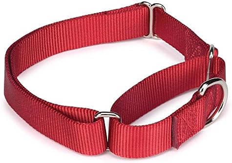 Guardian Gear Nylon Martingale Dog Collar, se encaixa no pescoço 18 a 26, vermelho