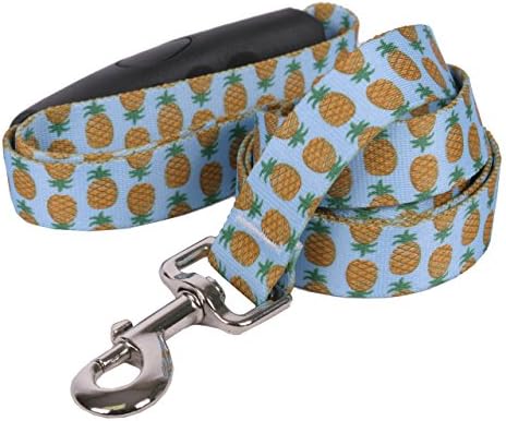 Design de cão amarelo abacaxi Blue Ez-Grip Dog Leash, pequeno/médio-3/4 de largura 5 'de comprimento