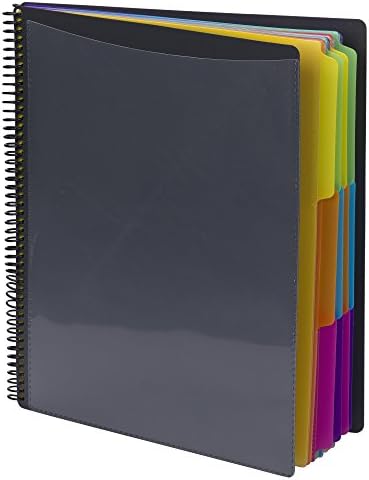 24 Pocket Poly Project Organizer, aba de 1/3 de corte, tamanho da letra, cinza com cores brilhantes