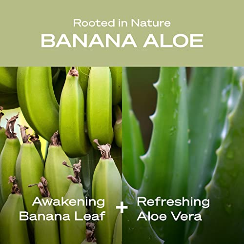 Ei Humanos Banana Aloe Hidratante Lavagem corporal com ingredientes naturais e óleo Jojoba | Limpo, vegan, sulfato livre de banho e